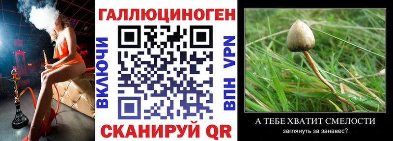 даркнет сайт  Нестеровская  Галлюциногенные грибы Magic Shrooms 
